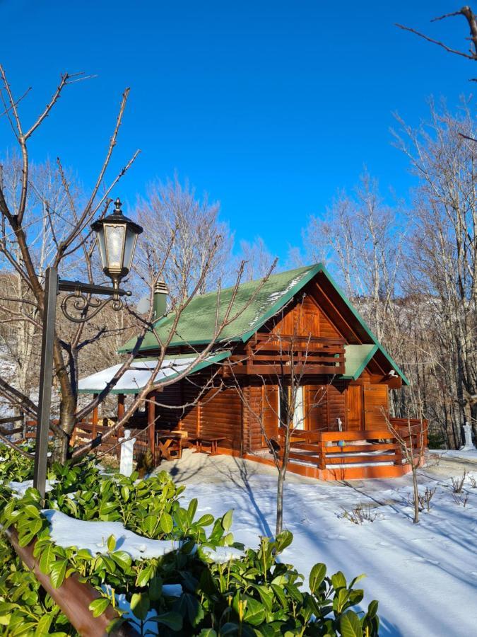 Vikendica Crkvina Villa Kolaşin Dış mekan fotoğraf