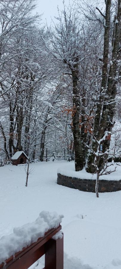 Vikendica Crkvina Villa Kolaşin Dış mekan fotoğraf