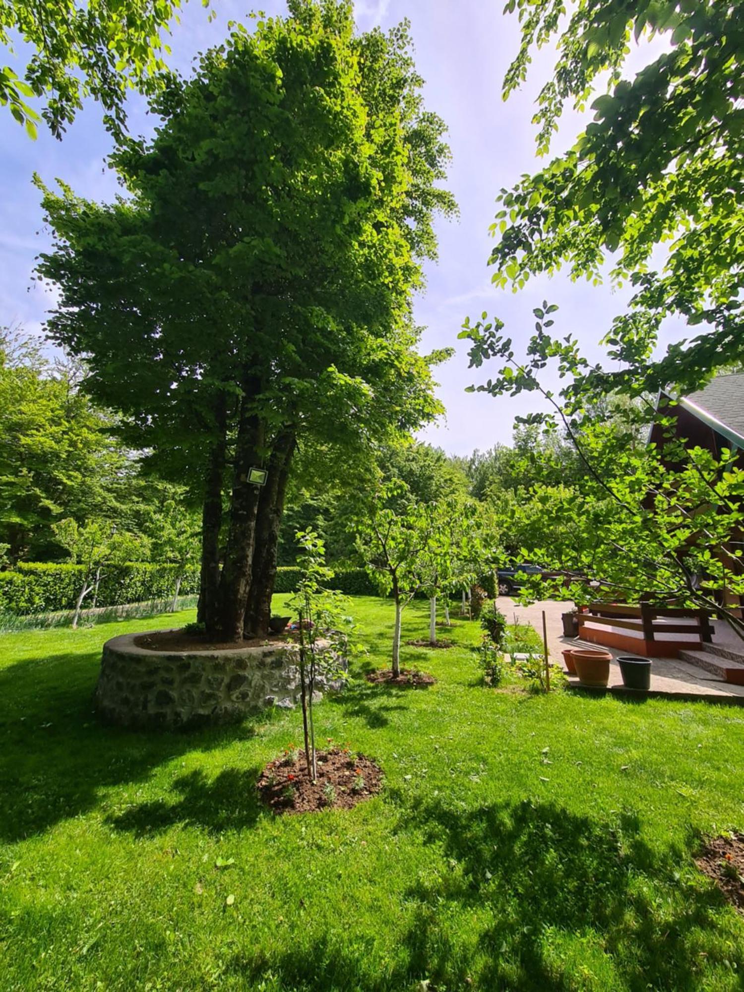 Vikendica Crkvina Villa Kolaşin Dış mekan fotoğraf