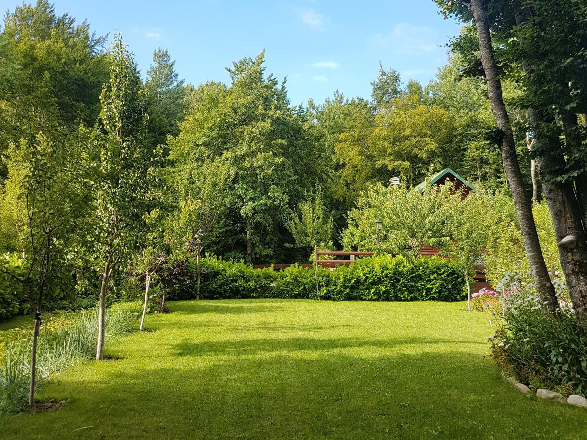 Vikendica Crkvina Villa Kolaşin Dış mekan fotoğraf