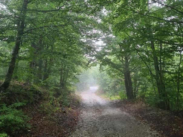 Vikendica Crkvina Villa Kolaşin Dış mekan fotoğraf